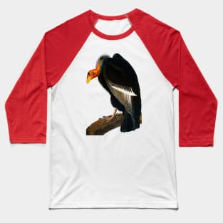 Audubon Californian Vulture Baseball T-Shirt